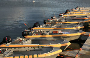 Angelboote im Hafen 