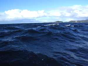 Wellen Nordmeer Norwegen
