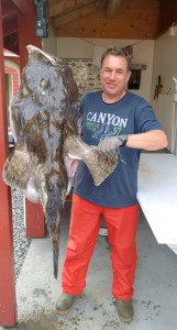 29kg Seeteufel aus Naustbekken Brygge
