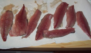 frische Makrelenfilets kurz vor der Verarbeitung