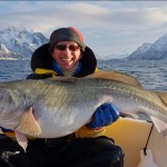 dicke Dorsche in Norwegen: Angeln auf kapitale Fische