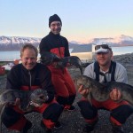 Anglergruppe mit Angelerfolgen aus Norwegen: schöne Steinbeisser aus dem Nordmeer