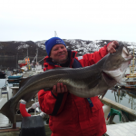 Angeln in Norwegen: Anglerglück mit Dickdorsch