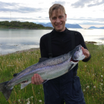 ein Lachs aus Elgsnes Gård: ein seltener Fang