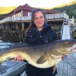 fetter Dorsch mit 30 Pfund: angelnde Frau in Norwegen