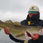 wohl der beliebteste Sportfisch bei Anglern in Norwegen: der Dorsch
