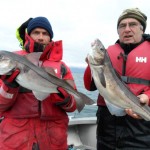 schmackhafte Schellfische aus Norwegen: Anglerglück trotz grauem Wetter