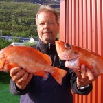 rote Riesen - Eidet Havfiske ist ein top Angelrevier für Rotbarsche in Norwegen