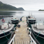 Kaasbøll Boote mit 22 Fuß und 115 PS